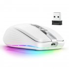 Wireless Gaming Mouse 2.4g Bluetooth-compatible 5.1 Dual-mode 2400dpi Mute Computer Mouse For Game Office White
