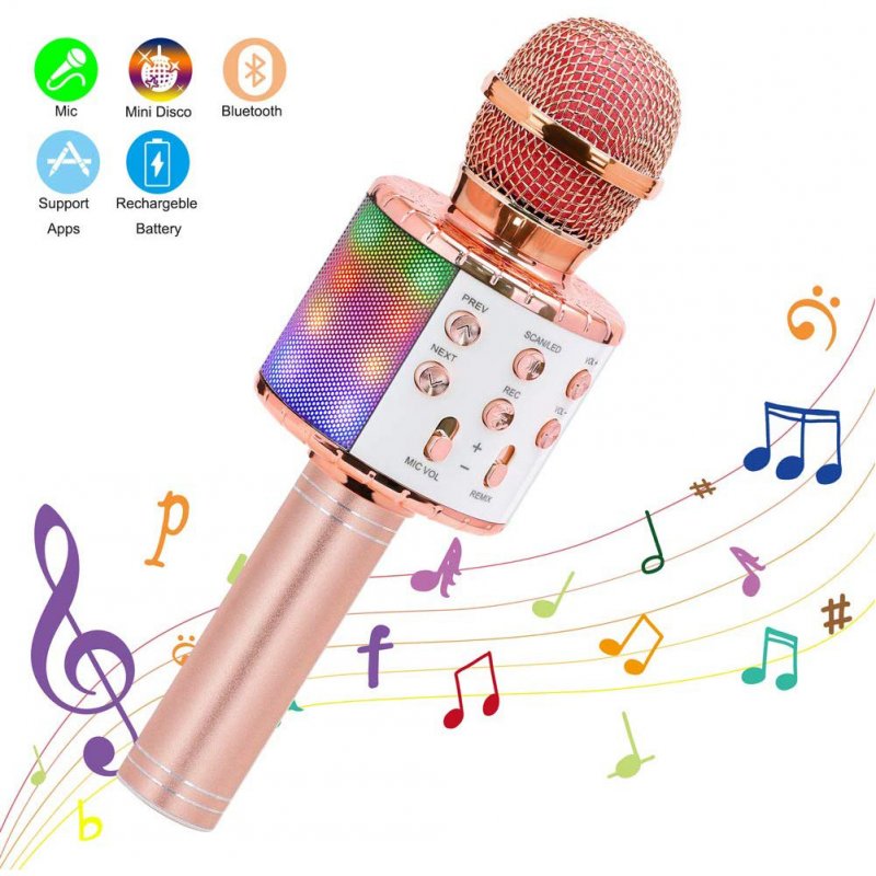 Wireless Microphone Karaoke