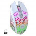 Wireless Mouse, Lighting Ergonomic Wireless Mouse, 2.4GHz USB Cordless Mouse, 1600DPI 500MAH Rechargeable Wireless Mouse For Computer Laptop PC White