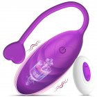 Wireless Remote Control Vibrator 10 Speeds Vibrating Egg Vaginal Ball Fun Heart-shaped Masturbation Device purple box