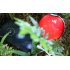 With this LED Pokeball Powerbank you will never run out of juice to catch all your favorite Pokemon in the new Pokemon game  Pokemon go 
