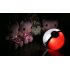 With this LED Pokeball Powerbank you will never run out of juice to catch all your favorite Pokemon in the new Pokemon game  Pokemon go 
