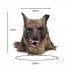 Wolf Head Hair Mask for Halloween Scary Costume Party Cosplay Prop As shown