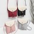 Woman Mini Fringed Fashion Colorful Shoulder pouch Chic Satchel Pink