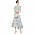 Women Cheongsam Dress Short Sleeves Traditional Chinese Style Embroidered Chiffon Long Skirt Elegant Stand Collar Dress CQ3 4 light yellow L