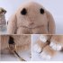 Women Cute Cartoon Rabbit Sling Bag Fluffy Bunny Shoulder Crossbody Bag