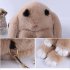 Women Cute Cartoon Rabbit Sling Bag Fluffy Bunny Shoulder Crossbody Bag Khaki