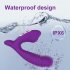 Women Double Head Vibrator Clitoral Nipple Stimulator with 10 Frequency Double Motor Vibration Purple