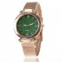Women Fashion  Quartz Wrist Watch Stainless Steel Strap Buckle and Watchcase Watch green