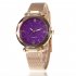 Women Fashion  Quartz Wrist Watch Stainless Steel Strap Buckle and Watchcase Watch purple
