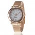 Women Fashion  Quartz Wrist Watch Stainless Steel Strap Buckle and Watchcase Watch blue