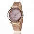 Women Fashion  Quartz Wrist Watch Stainless Steel Strap Buckle and Watchcase Watch Crimson