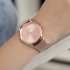Women Fashion Simple Alloy Mesh Watchband Quartz Watch