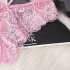 Women G string Lace Briefs See through Low Waist Sexy Underwear Cotton Crotch Erotic Panties Sky blue One size