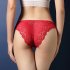 Women Lace Floral Sexy Underwear Ultra thin Low Rise Erotic Lingerie Briefs Temptation Panties White One size
