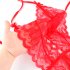 Women Lingerie  Erotic Sexy Lace Perspective Three point G string Sexy Lingerie red Average size