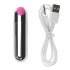 Women Mini Bullet Vibrator 10 Vibration Modes Waterproof Low Noise Adult Sex Toys G spot Egg Massager pink
