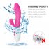Women Mute Dildo Vibrators Dual Vibration G spot Massager Av Stick Clitoris Sex Toys Masturbator Pink