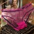 Women Panties Tulle Sexy Briefs Cotton Crotch Underwear See through Quick drying Lady Lingerie Underpants black