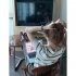 Women Short Sleeves Blouse Retro Round Neck Trendy Striped Knitted Shirt Casual Ice Silk Pullover Crop Tops green one size