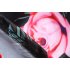 Women Short Sleeves Dress Fashion Floral Digital Printing Large Swing Long Skirt Summer Round Neck Large Size Dress C short sleeve L