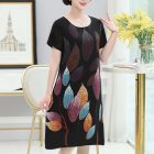 Women Summer Printed Dress Chinese Style Layered Design Round Neck Short Sleeve Loose A-line Dress sky blue L