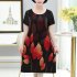 Women Summer Printed Dress Chinese Style Layered Design Round Neck Short Sleeve Loose A line Dress sky blue 3XL