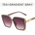 Women Trendy Large Frame Sunglasses Retro Square Frame Sunscreen Glasses For Summer Beach brown frame gray lens
