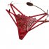 Women  Underpants Mesh Hollow Temptation Ladies Sexy Panties Invisible Thong Red One size
