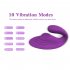 Women Vibrator Clitoral Nipple Pleasure Stimulator with 10 Modes G Spot Massager Adult Sex Toys Rose Red