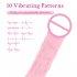 Women Vibrator Clitoral Nipple Pleasure Stimulator G Spot Massager With 10 Modes Adult Sex Toys For Women Female Couples pink