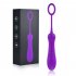 Women Vibrator With 8 Modes Remote Control Clitoral Nipple Pleasure Stimulator G Spot Massager Adult Sex Toys For Women Female Couples Purple