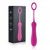 Women Vibrator With 8 Modes Remote Control Clitoral Nipple Pleasure Stimulator G Spot Massager Adult Sex Toys For Women Female Couples Purple