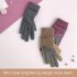 Women Warm Gloves Touch Screen Thickening Fleece Lined Cold proof Non slip Gloves for Driving Riding Gray