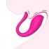 Women Wear Vibrating Egg Smart Wireless App Remote Control G Spot Vibrator Female Panties Sex Toys