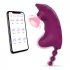 Women Wear Vibrating Panties Toy with App Remote Control Usb Charging Vaginal Vibrator RC App
