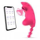 Women Wear Vibrating Panties Toy with App Remote Control Usb Charging