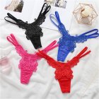 Women s  Thong Lace  Sexy Embroidered  Flower Transparent Hollow Low waist Underpants blue free size