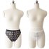 Women s  Underpants  Sexy   Lace  Floral  Elastic Waist   Seamless   Underpants white M