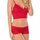 Women s Underwear Suits  Sexy Lace Transparent Sling Bra  Lace Underpants red S