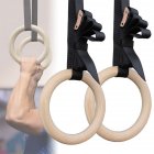 Wooden Gymnastics Rings with Cam Buckle Straps Home Gym Equipment Workout Rings