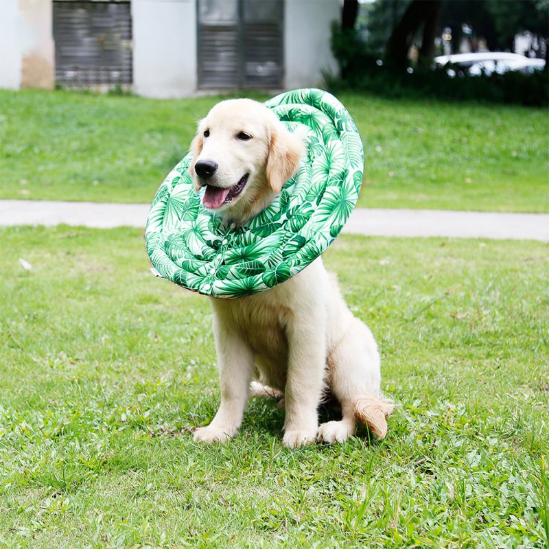 Wound Healing Collar Dogs Cats Medical Protection Neck Ring green_XS