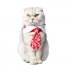 Woven Fabric Candy Printed Cat Dog Festive Lunar New Year Pet Red Tie Red candy L code tie