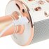 Ws858 Mobile Phone Microphone Wireless Bluetooth Microphone Speaker 800mah Ktv Player Gold