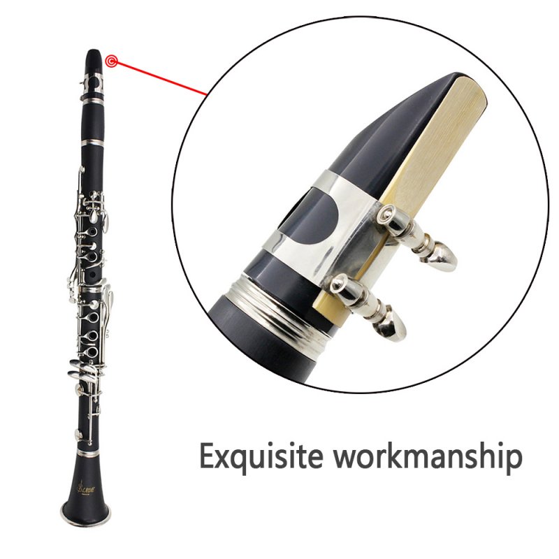 ABS 17-Key Clarinet Bb Flat Soprano Binocular Clarinet with Cork Grease Cleaning Cloth Gloves 10 Reeds Screwdriver Reed Case 