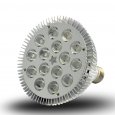 15W Spotlight LED Light Bulb