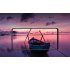 Xiaomi Redmi K20 Pro 8 256GB Snapdragon 855 Octa Core 48MP 20MP 4000mAh 27W Quick Charger 6 39  Full Screen Carbon black