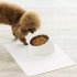 Xiaomi Youpin Stainless Steel Pet Dog Bowl Puppy Cats Food Drink Water Tilted Feeder With BaseSupplies Non slip Feeding Dishes