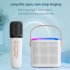 Y1 Portable Wireless Speaker With Wireless Microphones Interactive Karaoke Machine TF Card Player For Tablet Smart Phones Computer white single microphone