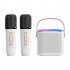 Y1 Portable Wireless Speaker With Wireless Microphones Interactive Karaoke Machine TF Card Player For Tablet Smart Phones Computer white single microphone